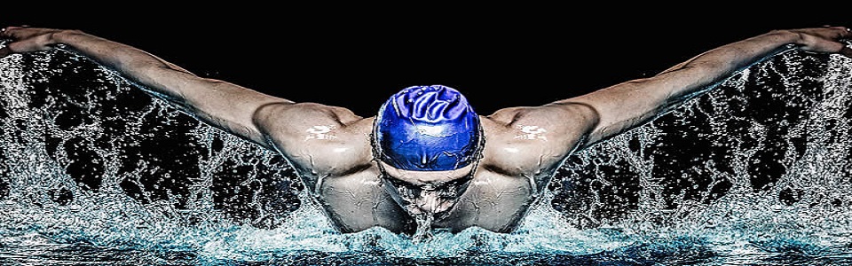 DVS Sport